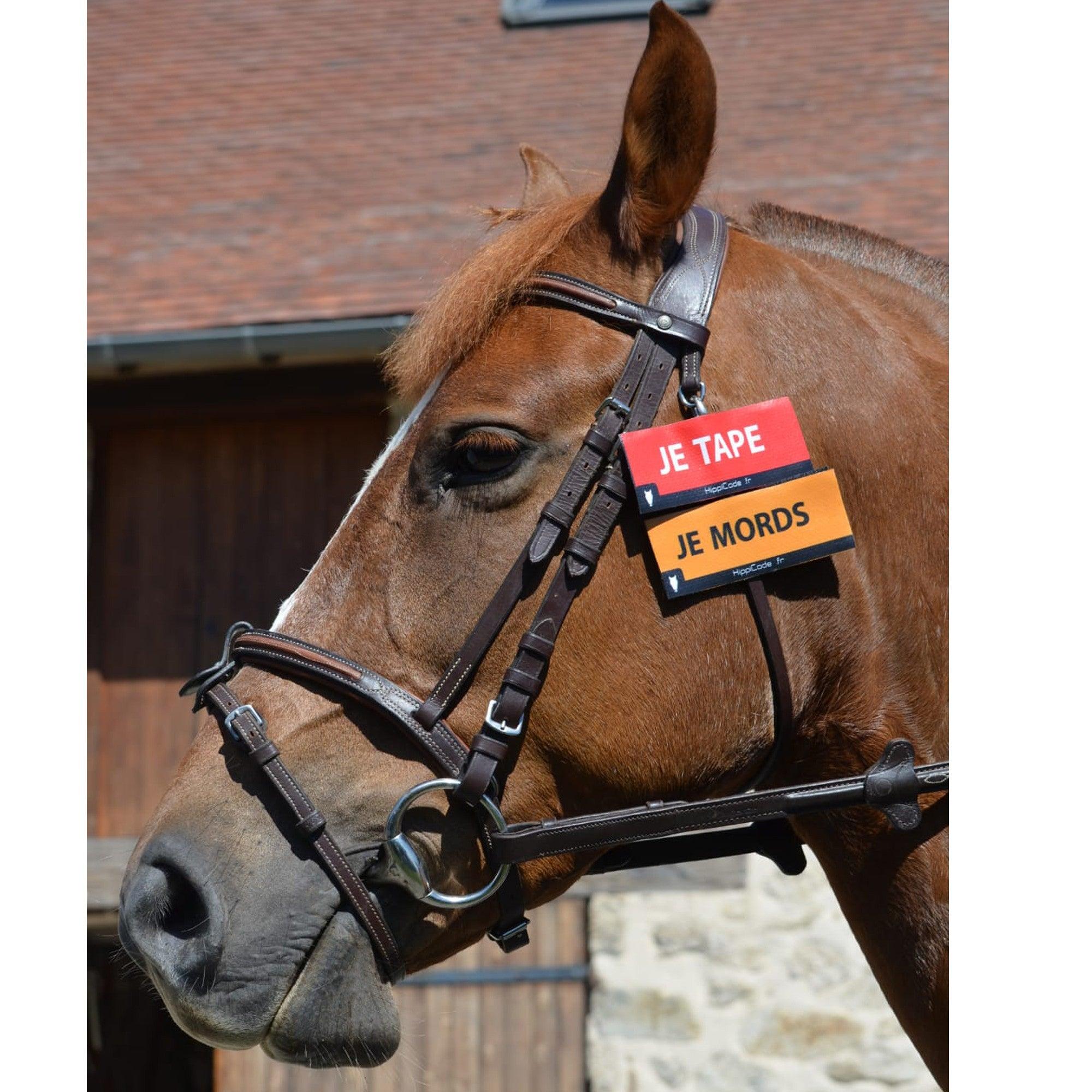 Hippicode Velcro - SHOPHORSE